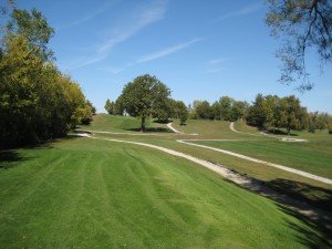 A green golf course with trees and paths