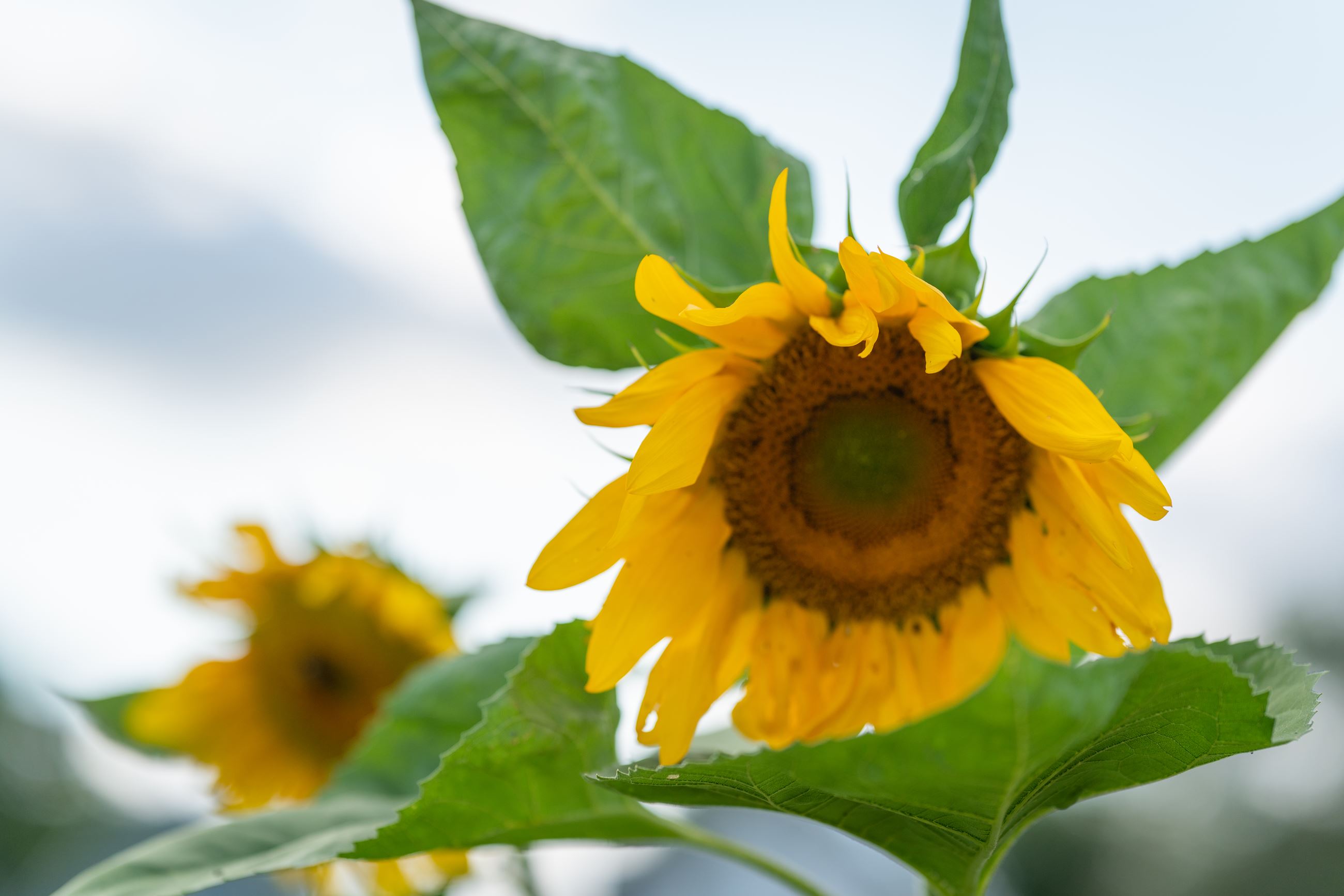 21CTPhotoAroundTown-313