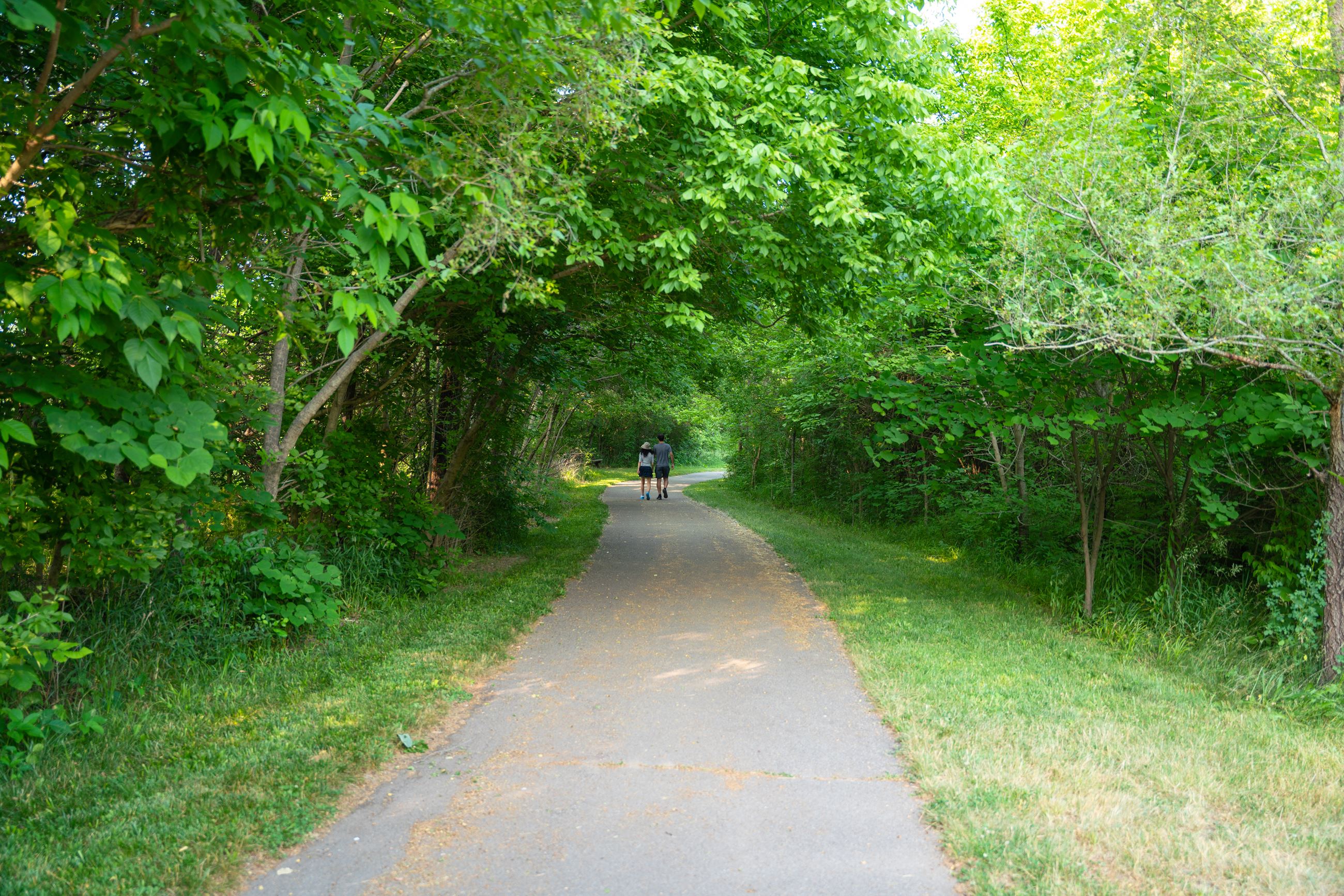 23Zparkslionscreekside-78