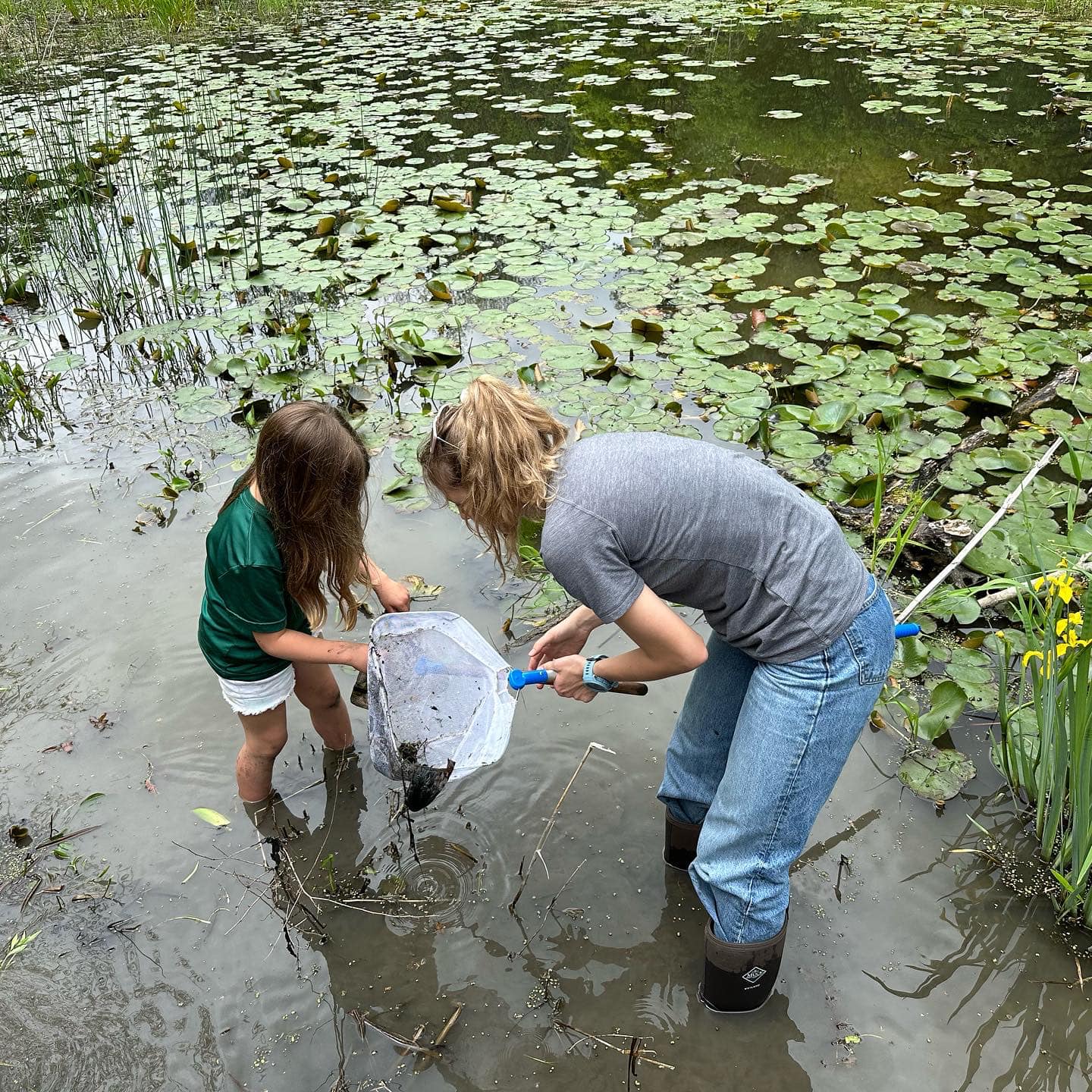 Wetland Exploration