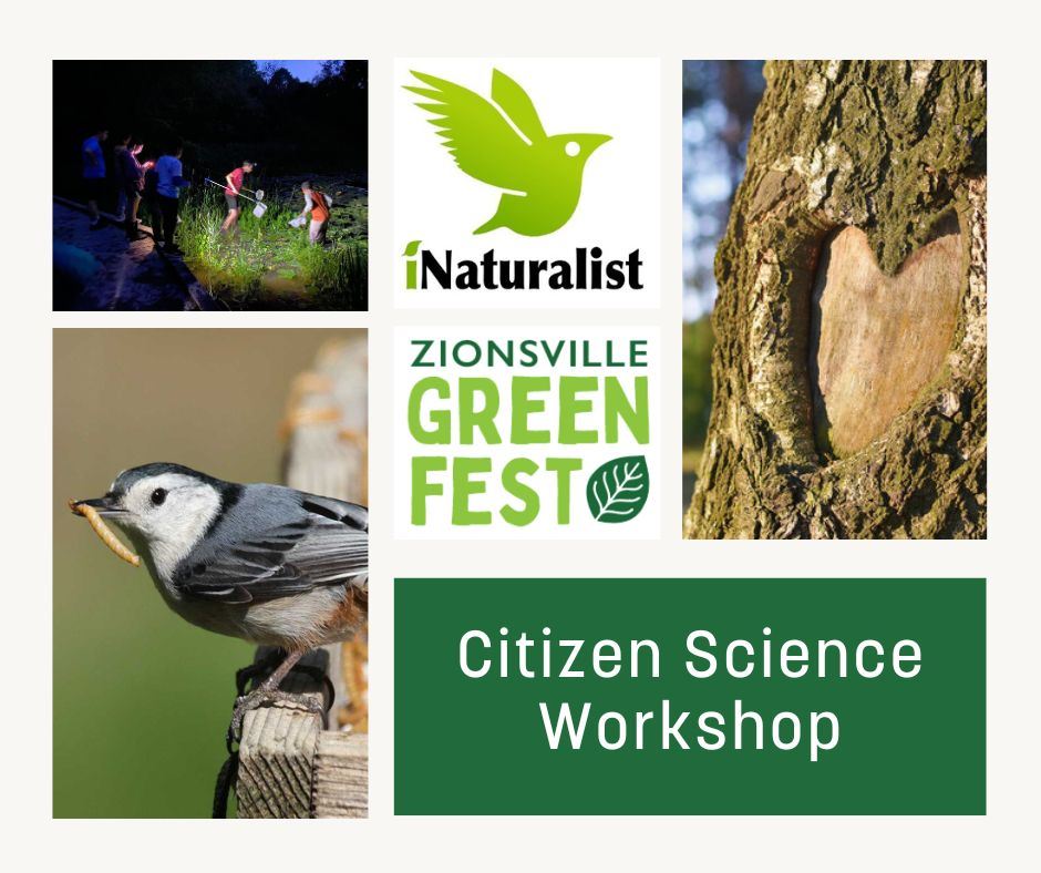 Native Seed Paper Making