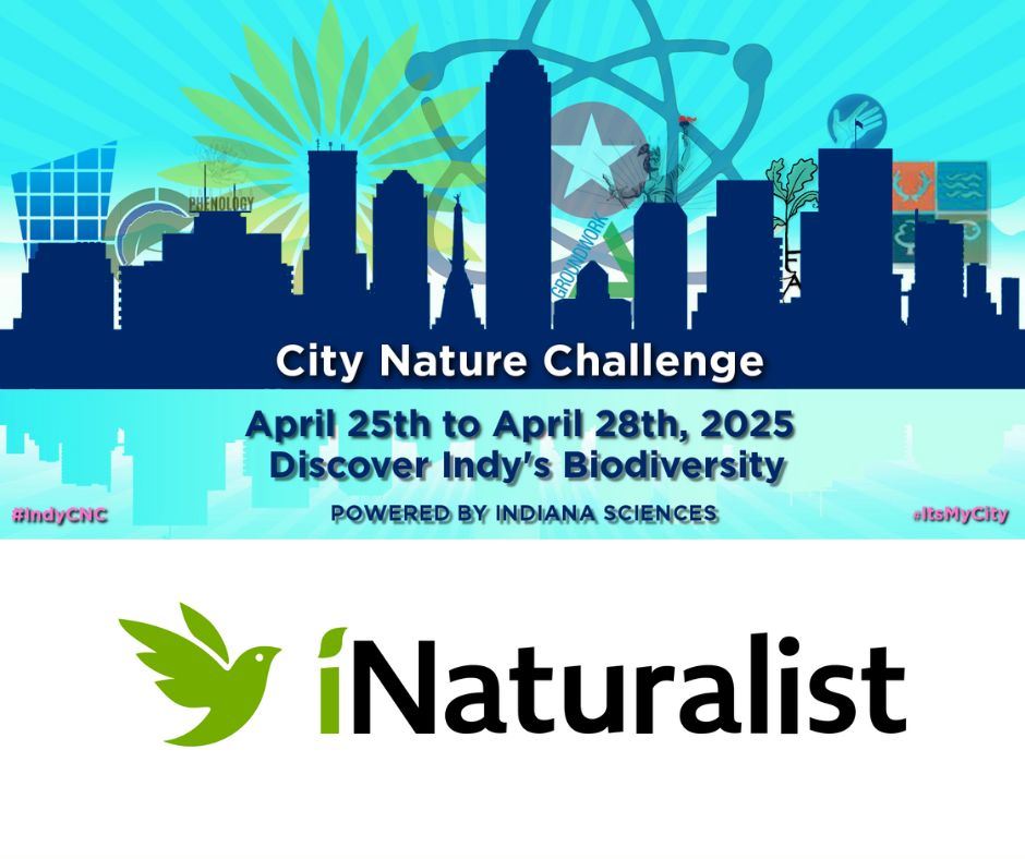 City Nature Challenge 2025
