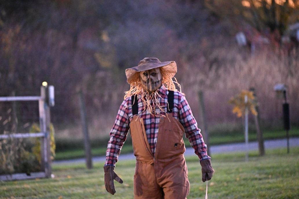Scarecrow